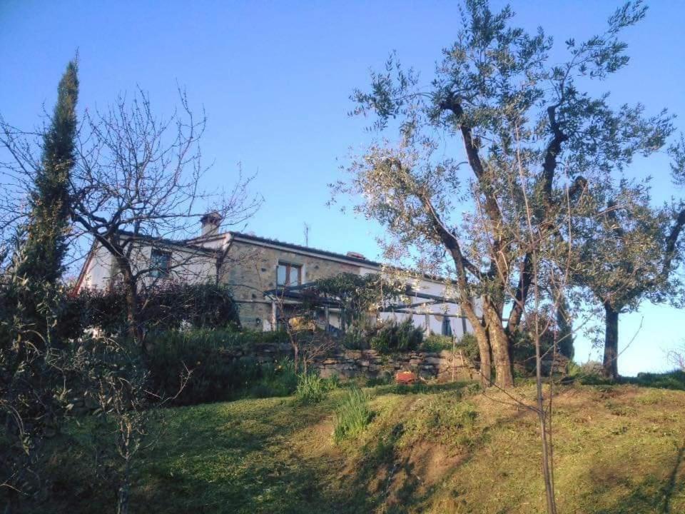Agriturismo Menghino Nievole Екстериор снимка